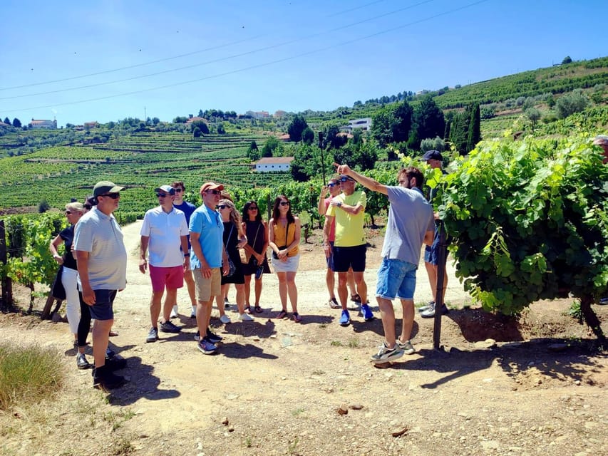Porto: Douro Valley Vineyards Tour with Lunch & River Cruise - Porto to the Douro Valley: why this day feels so different