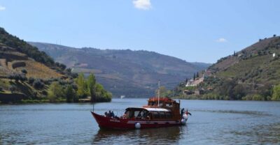Porto: Douro Valley Vineyards Tour with Lunch & River Cruise - Price and value: what $111 buys you for 10 hours