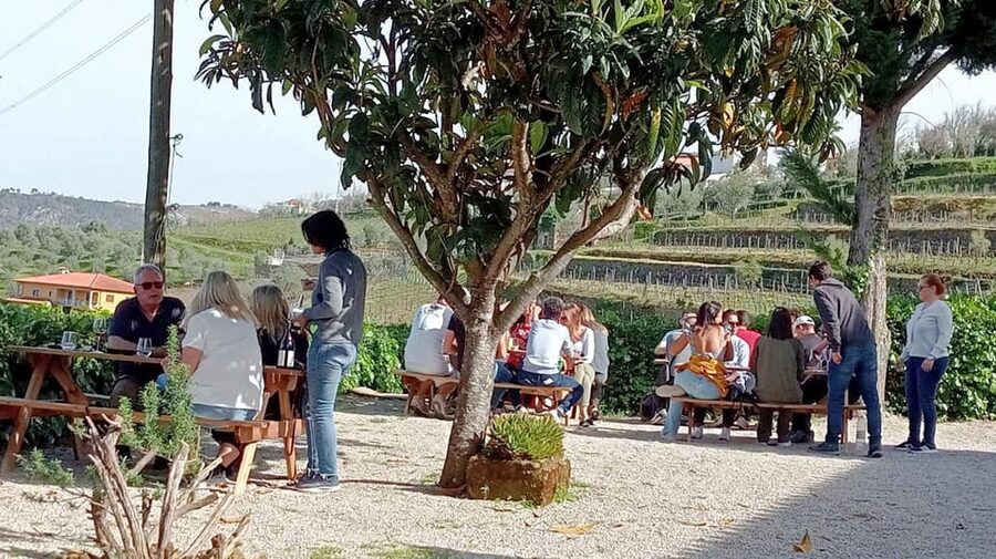 Porto: Douro Valley Vineyards Tour with Lunch & River Cruise - Guide impact: why Sara, Pedro, Rita, and others change the whole day