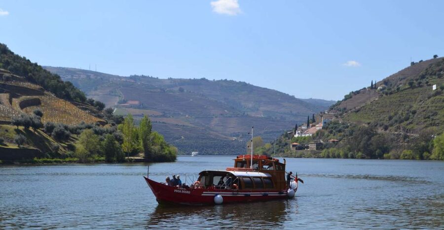 Porto: Douro Valley Vineyards Tour with Lunch & River Cruise - Price and value: what $111 buys you for 10 hours
