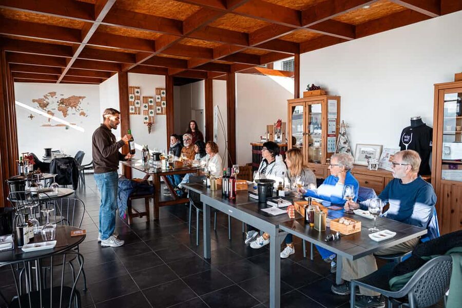 Porto: Douro Wine Tour with Lunch and River Cruise - Value check: is $153 per person a good deal?