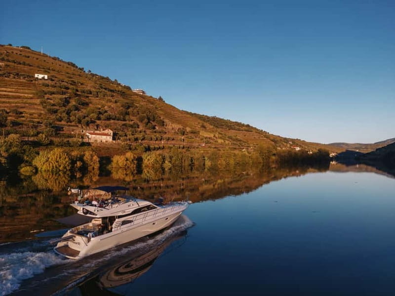 Porto: Full Day Douro River Cruise from Porto to Régua - Private yacht cruising from Porto to Régía: what makes it worth it