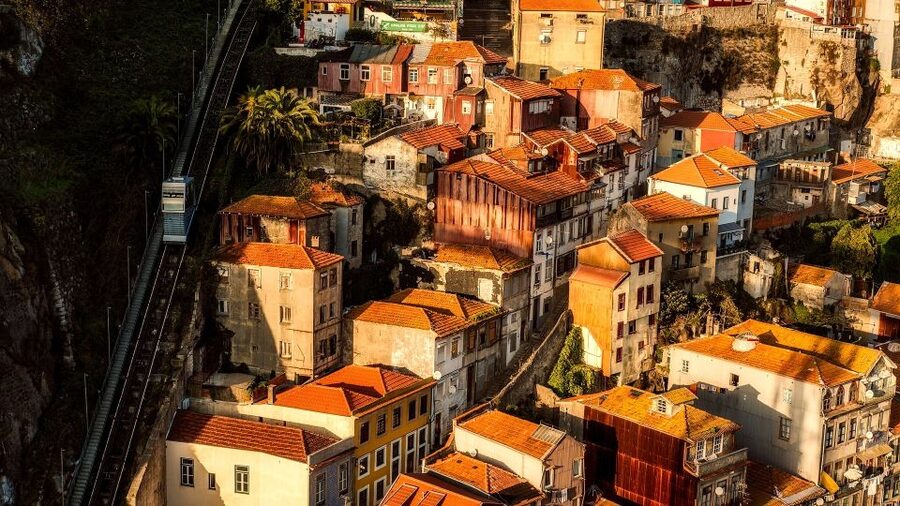 Porto Private Half Day Walking Tour: Cruise & Wine Tasting - Vila Nova de Gaia Wine Cellar: How Port Tasting Fits the Porto Story