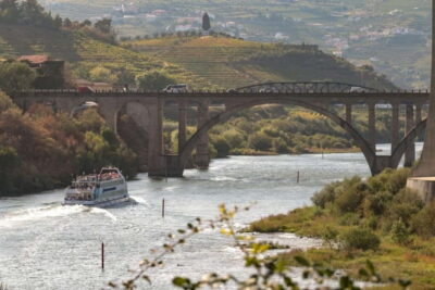 Porto/Regua/Porto (and reverse): Douro River Cruise + Lunch - The onboard lunch: traditional Portuguese, timed for real energy