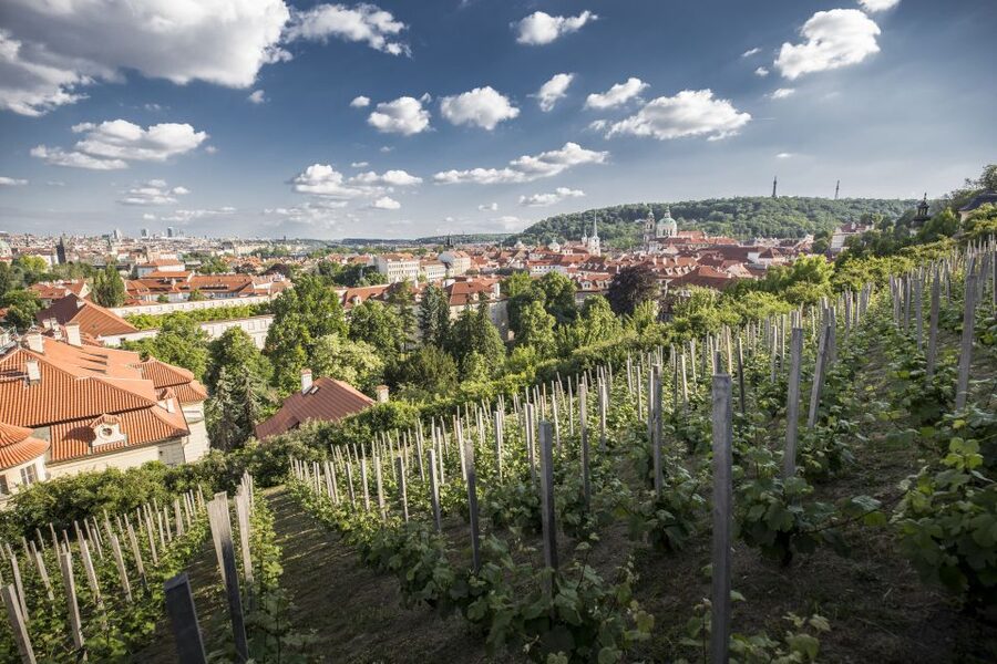 Prague: 3–Hour Castle Grounds Walking Tour and River Cruise - From Old Town Square to the Clementinum stretch