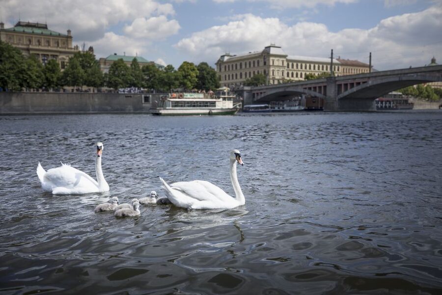 Prague: 3–Hour Castle Grounds Walking Tour and River Cruise - Inside the castle grounds loop (without the interior ticket pressure)