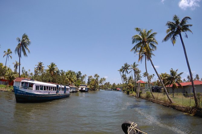 Private Alleppey Backwater Houseboat DayTour with Taxi from Kochi - A Day-Only Backwater Cruise From Kochi: How the Trip Feels