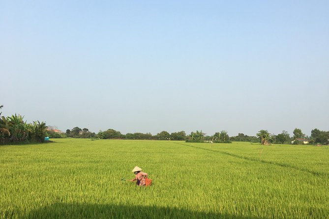 Private - An Authentic Mekong Local Version - Day Tour - Why This Mekong Delta Day Feels Local, Not Like a Script