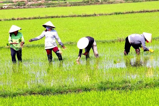 Private - An Authentic Mekong Local Version - Day Tour - From Rex Hotel to the Delta: Timing, Pickup, and Getting Ready