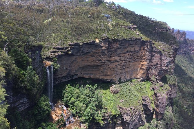 PRIVATE Blue Mountains Tour, Wildlife Park and River Cruise - Wildlife park stop: Featherdale vs Sydney Zoo and what you’ll actually see