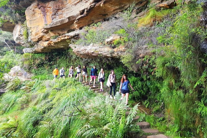 PRIVATE Blue Mountains Tour, Wildlife Park and River Cruise - Katoomba and Leura: short town breaks that keep the day human