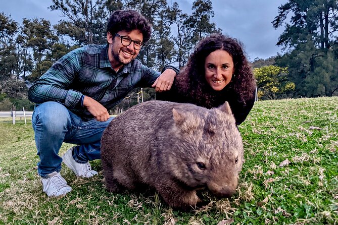PRIVATE Blue Mountains Tour, Wildlife Park and River Cruise - Price and value: is $453.62 per person worth it?