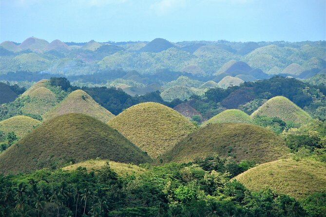 Private Bohol and Chocolate Hills with Loboc River Cruise - Stop 2: Chocolate Hills Natural Monument and the Bilar mahogany forest views