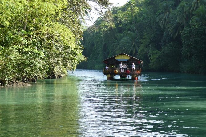 Private Bohol and Chocolate Hills with Loboc River Cruise - How the 8-hour timing fits real life