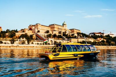 Private Danube Sightseeing Cruise in Budapest - The boat: New Zealand-style water taxis with a fridge onboard
