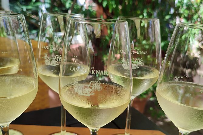 Private day trip to the Romantic Rhine Valley with river cruise and wine tasting - A private Rhine Valley day beats the bus version