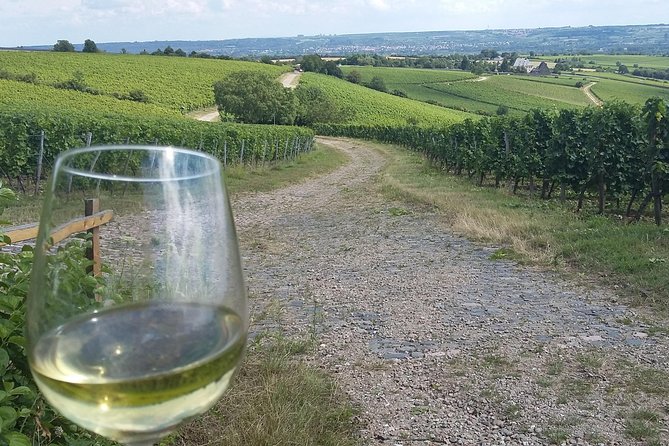 Private day trip to the Romantic Rhine Valley with river cruise and wine tasting - Schloss Johannisberg: the Riesling story and late-harvest origins