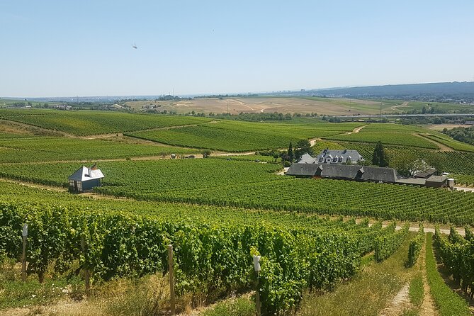 Private day trip to the Romantic Rhine Valley with river cruise and wine tasting - Rüdesheim and Throstle Alley: lunch base plus easy walking