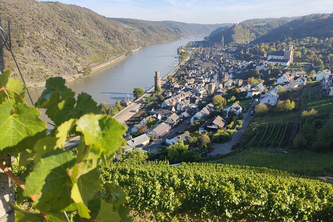 Private day trip to the Romantic Rhine Valley with river cruise and wine tasting - Oberwesel: wine tasting, wine cellar time, and a lunch option