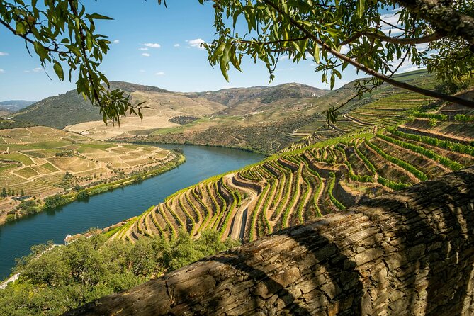 Private Douro Valley Tour: Boutique Winery & River Cruise - Key takeaways before you go