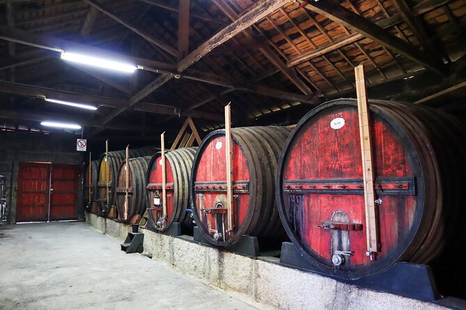 Private Douro Valley Tour: Boutique Winery & River Cruise - The 1-hour Douro River cruise: paced sightseeing from the water