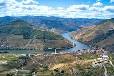 Private Douro Valley Tour: Boutique Winery & River Cruise - Quinta do Cume tasting: Port and DOC Douro with vine views