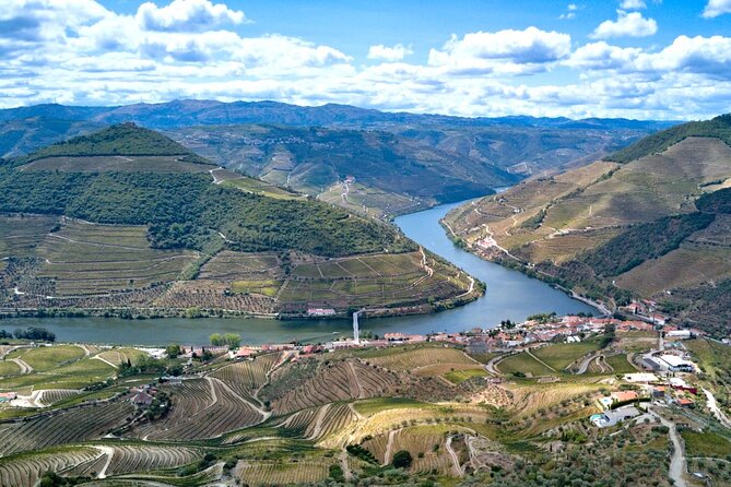 Private Douro Valley Tour: Boutique Winery & River Cruise - Quinta do Cume tasting: Port and DOC Douro with vine views