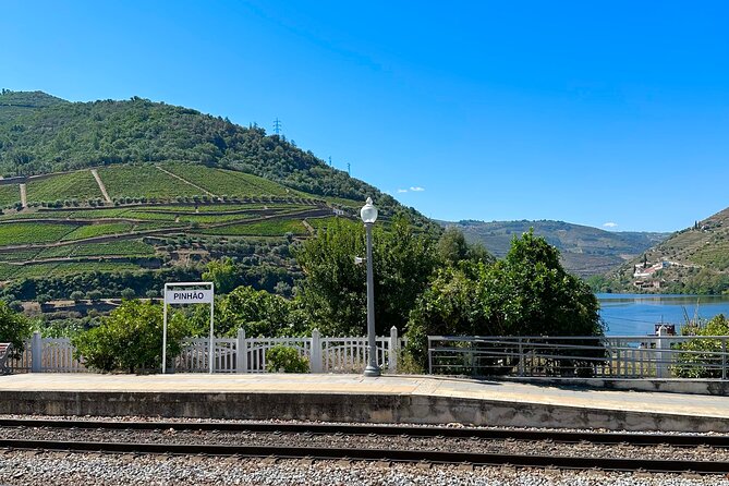 Private Douro Valley Winery Tour and River Cruise w/ Mercedes SUV - Mercedes SUV viewpoints: the Douro’s best angles in one morning