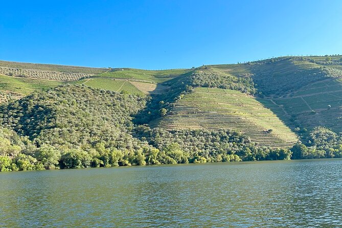 Private Douro Valley Winery Tour and River Cruise w/ Mercedes SUV - Timing and pacing: how the 7–8 hour plan actually feels