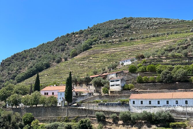 Private Douro Valley Winery Tour and River Cruise w/ Mercedes SUV - Price and value: what you’re paying for (and what you’re not)