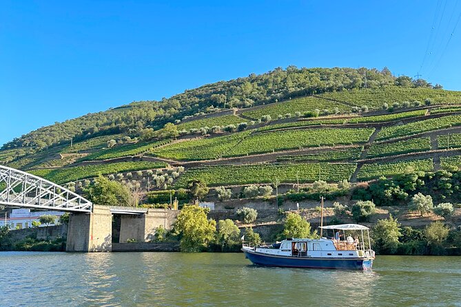 Private Douro Valley Winery Tour and River Cruise w/ Mercedes SUV - Who this Douro private tour is best for