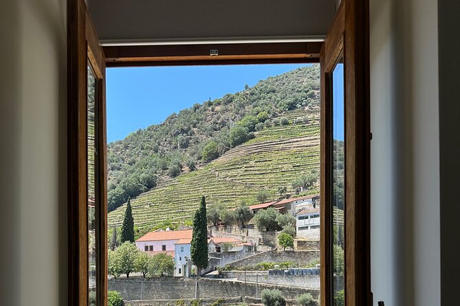 Private Douro Valley Winery Tour and River Cruise w/ Mercedes SUV - Practical tips before you go
