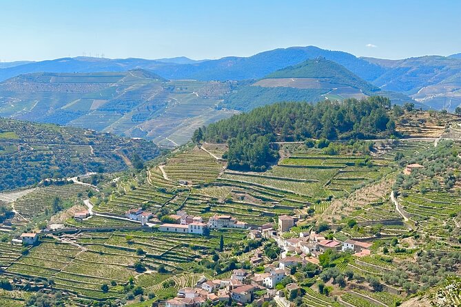 Private Douro Valley Winery Tour and River Cruise w/ Mercedes SUV - Quinta do Bomfim and wine tasting: what’s included and why it’s good value