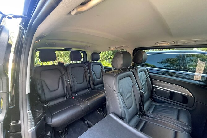 Private Luxury Blue Mountain Tour with Wildlife and River Cruise - The Parramatta Rivercat Ferry Return: A Calm Finish Instead of Another Car Ride