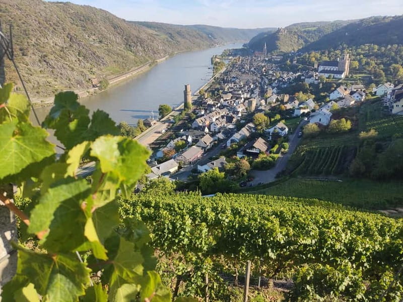 Private Rhine Valley tour with river cruise & wine tasting - From Frankfurt to Eltville: A Private Day That Starts Easy