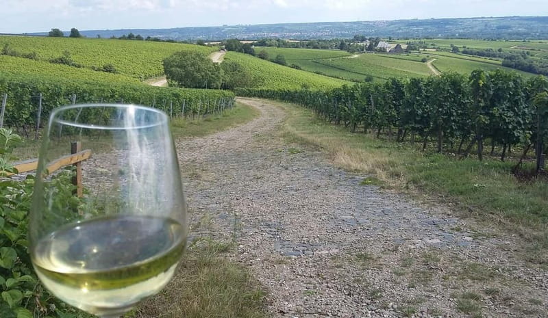 Private Rhine Valley tour with river cruise & wine tasting - Johannisberg Castle: The Best Kind of Photo Stop