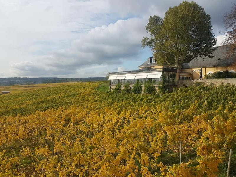 Private Rhine Valley tour with river cruise & wine tasting - Rüdesheim am Rhein: A Town Walk That Adds Real Flavor