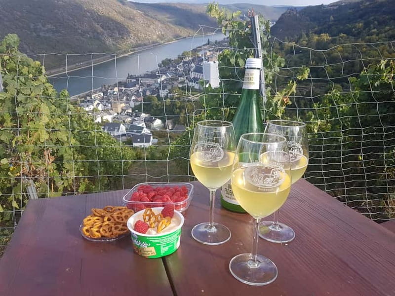 Private Rhine Valley tour with river cruise & wine tasting - Rheinfels Castle and Günderodehaus: Short Stops With Long View Payoffs