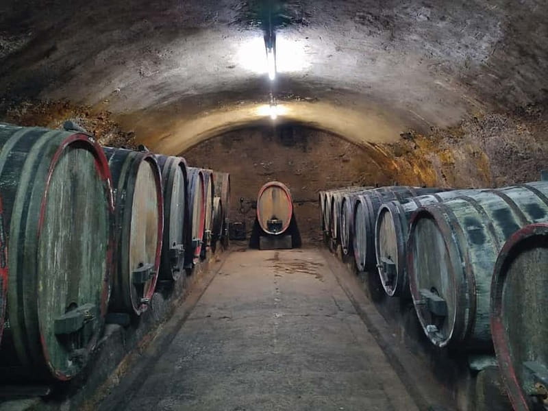 Private Rhine Valley tour with river cruise & wine tasting - Oberwesel Wine Tasting and Cellar Visit: Where the Day Ends on Flavor