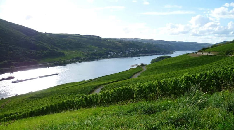 Private Rhine Valley tour with river cruise & wine tasting - Eberbach Abbey: Monastery Atmosphere Plus a Wine-Tasting Reset