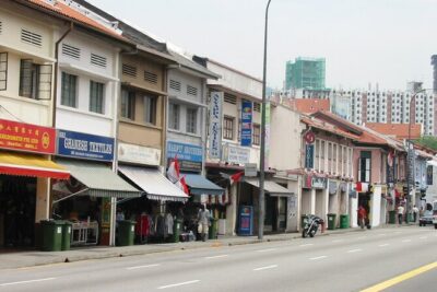 Private Singapore Full Day Highlights Tour with River Cruise Ride - Little India: Temples, Thousand Lights, and Quick Local Orientation