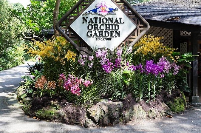 Private Singapore Full Day Highlights Tour with River Cruise Ride - National Orchid Garden: 1,000 Types of Plants as a Midday Win