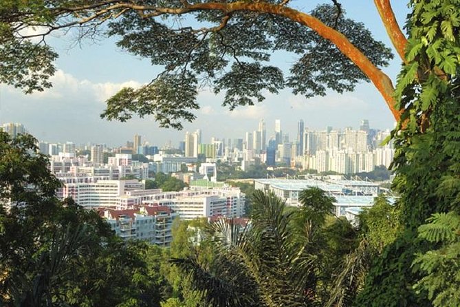 Private Singapore Full Day Round Island Tour with River Cruise - Chinatown lunch time, Mount Faber views, and Geylang Serai