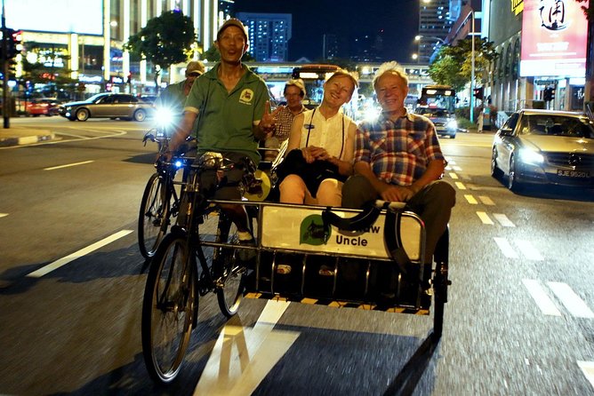 Private Singapore Night Tour with Gardens by the Bay&River Cruise - Door-to-door logistics: the convenience tax, but worth it