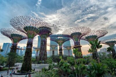 Private Singapore Night Tour with Gardens by the Bay&River Cruise - Flower Dome at Gardens by the Bay: the “wow” start