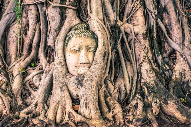 Private Tour: Ayutthaya Temples, Ruins and Lunch on River Cruise - The 9-hour flow: comfort, timing, and what to expect