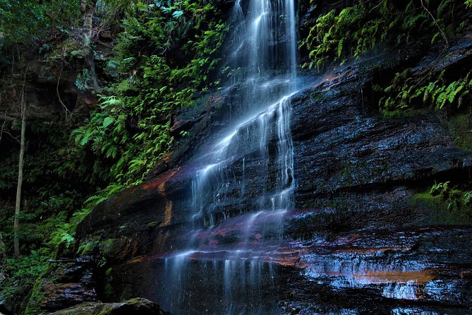 Private Tour Blue Mountains Day Adventure Wildlife + River Cruise - A Blue Mountains 4WD day that mixes animals, views, and water