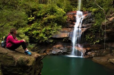 Private Tour Blue Mountains Day Adventure Wildlife + River Cruise - Featherdale Wildlife Park start: koalas and Aussie animals first