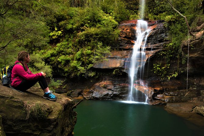 Private Tour Blue Mountains Day Adventure Wildlife + River Cruise - Featherdale Wildlife Park start: koalas and Aussie animals first