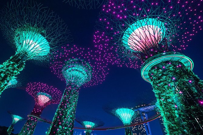Private Tour: Nighttime Sightseeing with River Cruise - SkyPark at Marina Bay Sands: the best “big picture” view